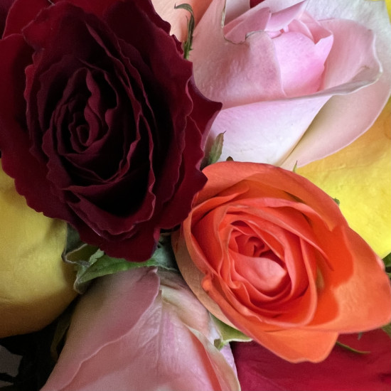Букеты из роз Букет из 21 розы Кения