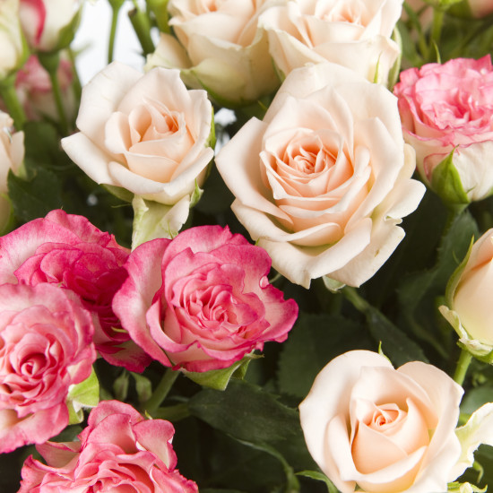 Букеты из роз Букет из 35 кустовых роз
